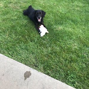 Meet your Posher, Laura